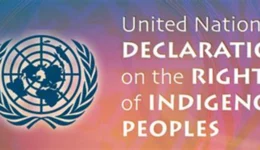 UNDRIP