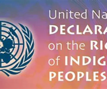 UNDRIP