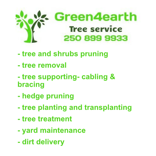 Green4Earth Tree service