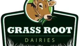 Grass root dairies