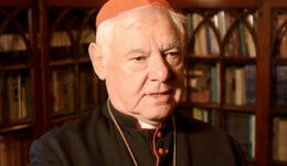 Cardinal Muller