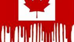 Canada flag blood
