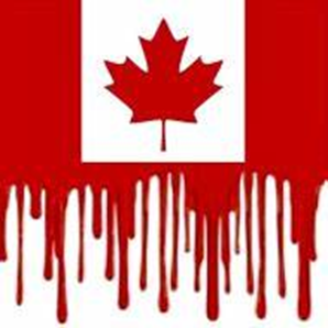 Canada flag blood